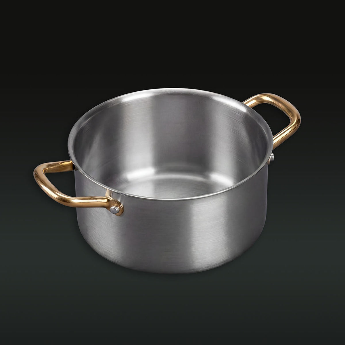 Taima® Pure Titanium Nutri Pot Pro